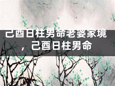 己酉日柱男命老婆家境,己酉日柱男命