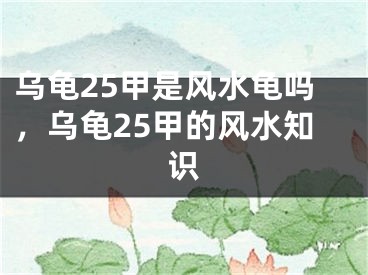 乌龟25甲是风水龟吗,乌龟25甲的风水知识