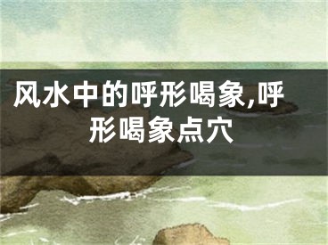 风水中的呼形喝象,呼形喝象点穴