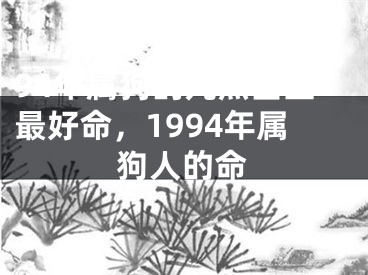 94年属狗的几点出生最好命，1994年属狗人的命