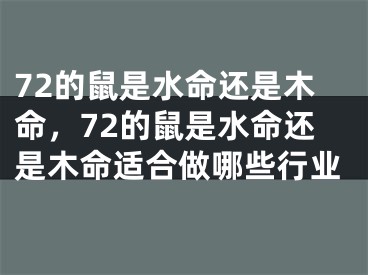 72的鼠是水命还是木命，72的鼠是水命还是木命适合做哪些行业
