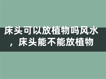 床头可以放植物吗风水，床头能不能放植物