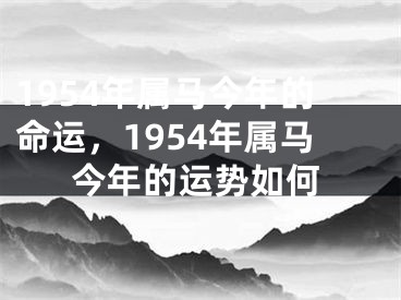 1954年属马今年的命运，1954年属马今年的运势如何