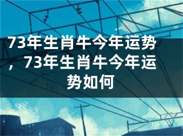 73年生肖牛今年运势，73年生肖牛今年运势如何