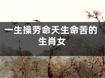 一生操劳命天生命苦的生肖女