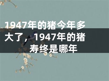1947年的猪今年多大了，1947年的猪寿终是哪年