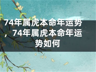 74年属虎本命年运势，74年属虎本命年运势如何