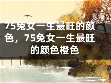 75兔女一生最旺的颜色，75兔女一生最旺的颜色橙色