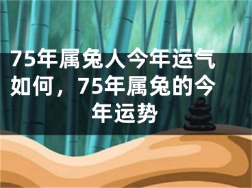 75年属兔人今年运气如何，75年属兔的今年运势