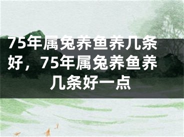 75年属兔养鱼养几条好，75年属兔养鱼养几条好一点