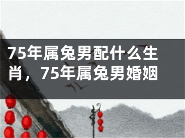75年属兔男配什么生肖，75年属兔男婚姻