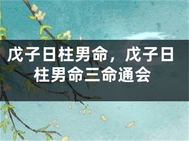 戊子日柱男命,戊子日柱男命三命通会