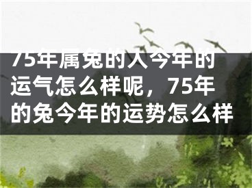 75年属兔的人今年的运气怎么样呢,75年的兔今年的运势怎么样