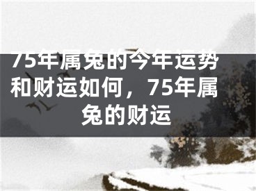 75年属兔的今年运势和财运如何，75年属兔的财运
