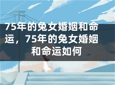 75年的兔女婚姻和命运，75年的兔女婚姻和命运如何