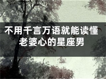 不用千言万语就能读懂老婆心的星座男