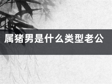 属猪男是什么类型老公