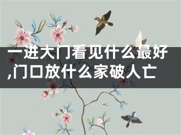 一进大门看见什么最好,门口放什么家破人亡