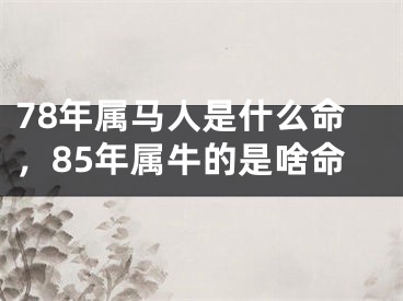 78年属马人是什么命，85年属牛的是啥命
