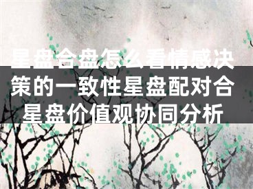 星盘合盘怎么看情感决策的一致性星盘配对合星盘价值观协同分析