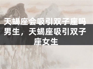 天蝎座会吸引双子座吗男生,天蝎座吸引双子座女生