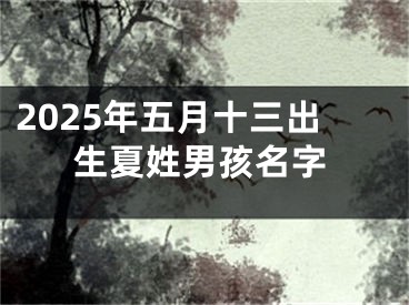 2025年五月十三出生夏姓男孩名字