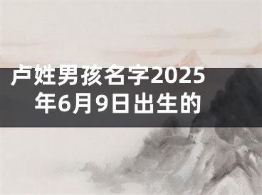 卢姓男孩名字2025年6月9日出生的