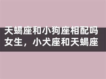 天蝎座和小狗座相配吗女生，小犬座和天蝎座