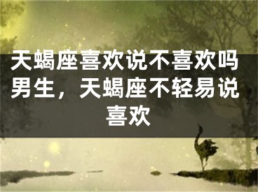 天蝎座喜欢说不喜欢吗男生，天蝎座不轻易说喜欢