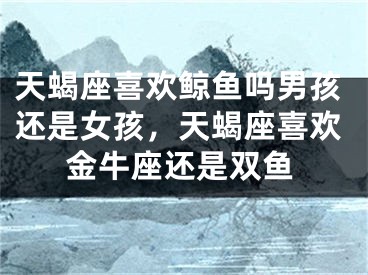 天蝎座喜欢鲸鱼吗男孩还是女孩，天蝎座喜欢金牛座还是双鱼