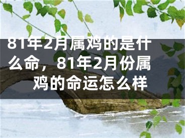 81年2月属鸡的是什么命，81年2月份属鸡的命运怎么样