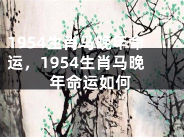 1954生肖马晚年命运，1954生肖马晚年命运如何