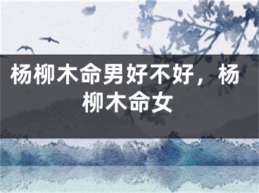 杨柳木命男好不好，杨柳木命女