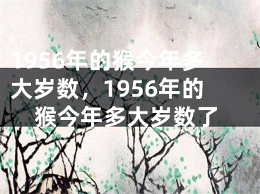 1956年的猴今年多大岁数，1956年的猴今年多大岁数了