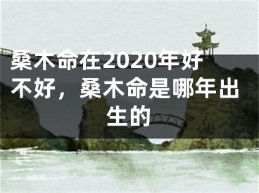 桑木命在2020年好不好，桑木命是哪年出生的