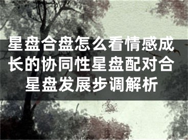 星盘合盘怎么看情感成长的协同性星盘配对合星盘发展步调解析