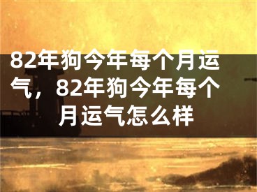 82年狗今年每个月运气，82年狗今年每个月运气怎么样