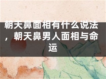 朝天鼻面相有什么说法，朝天鼻男人面相与命运