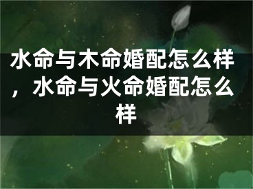 水命与木命婚配怎么样，水命与火命婚配怎么样