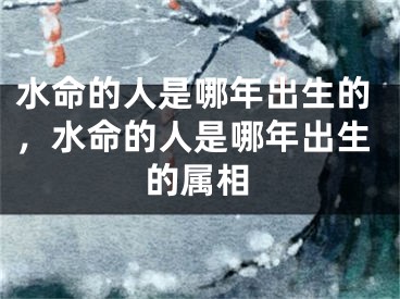 水命的人是哪年出生的，水命的人是哪年出生的属相