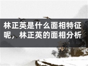 林正英是什么面相特征呢，林正英的面相分析