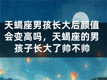 天蝎座男孩长大后颜值会变高吗，天蝎座的男孩子长大了帅不帅