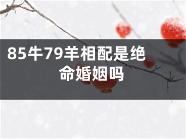 85牛79羊相配是绝命婚姻吗