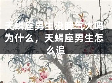 天蝎座男生没脾气大吗为什么，天蝎座男生怎么追