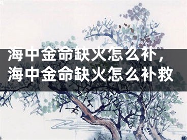 海中金命缺火怎么补，海中金命缺火怎么补救