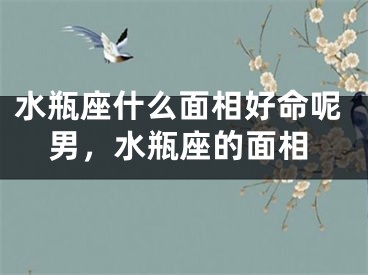 水瓶座什么面相好命呢男，水瓶座的面相