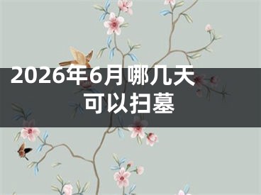 2026年6月哪几天可以扫墓
