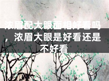 浓眉配大眼面相好看吗，浓眉大眼是好看还是不好看