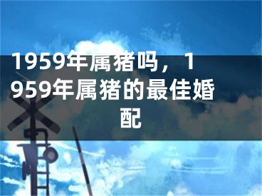 1959年属猪吗，1959年属猪的最佳婚配