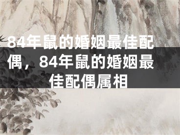 84年鼠的婚姻最佳配偶,84年鼠的婚姻最佳配偶属相